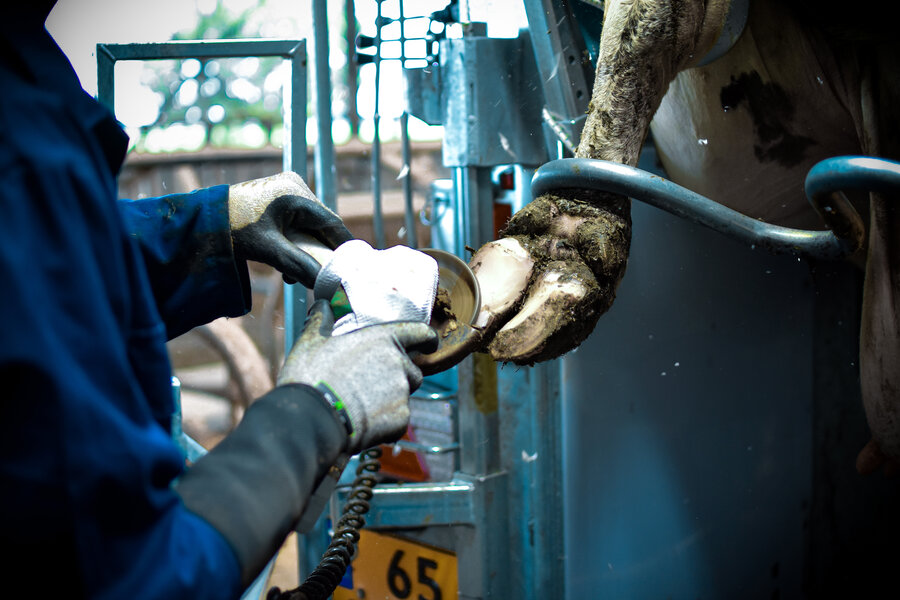 Good Practice Protocol